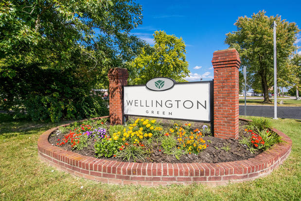 Images Wellington Green