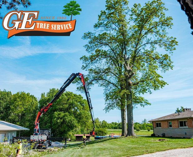Images GE Tree & Crane Service