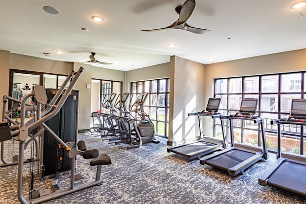 Images The Louis Apartment Flats