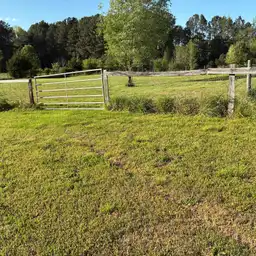 Sniffspot Yolistone Image