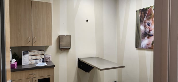 Images Vetco Total Care Animal Hospital