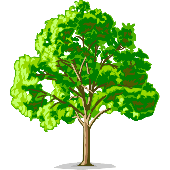 Garcia Tree Experts