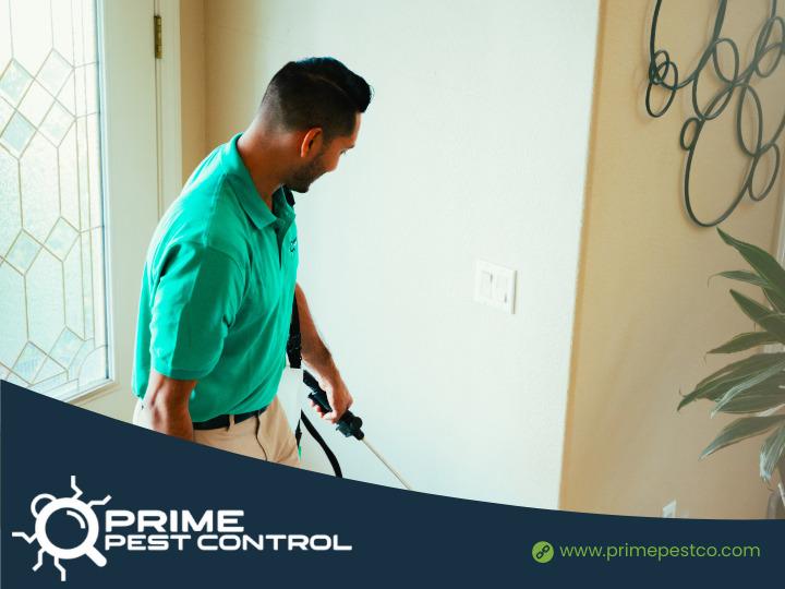 Images Prime Pest Control Las Vegas