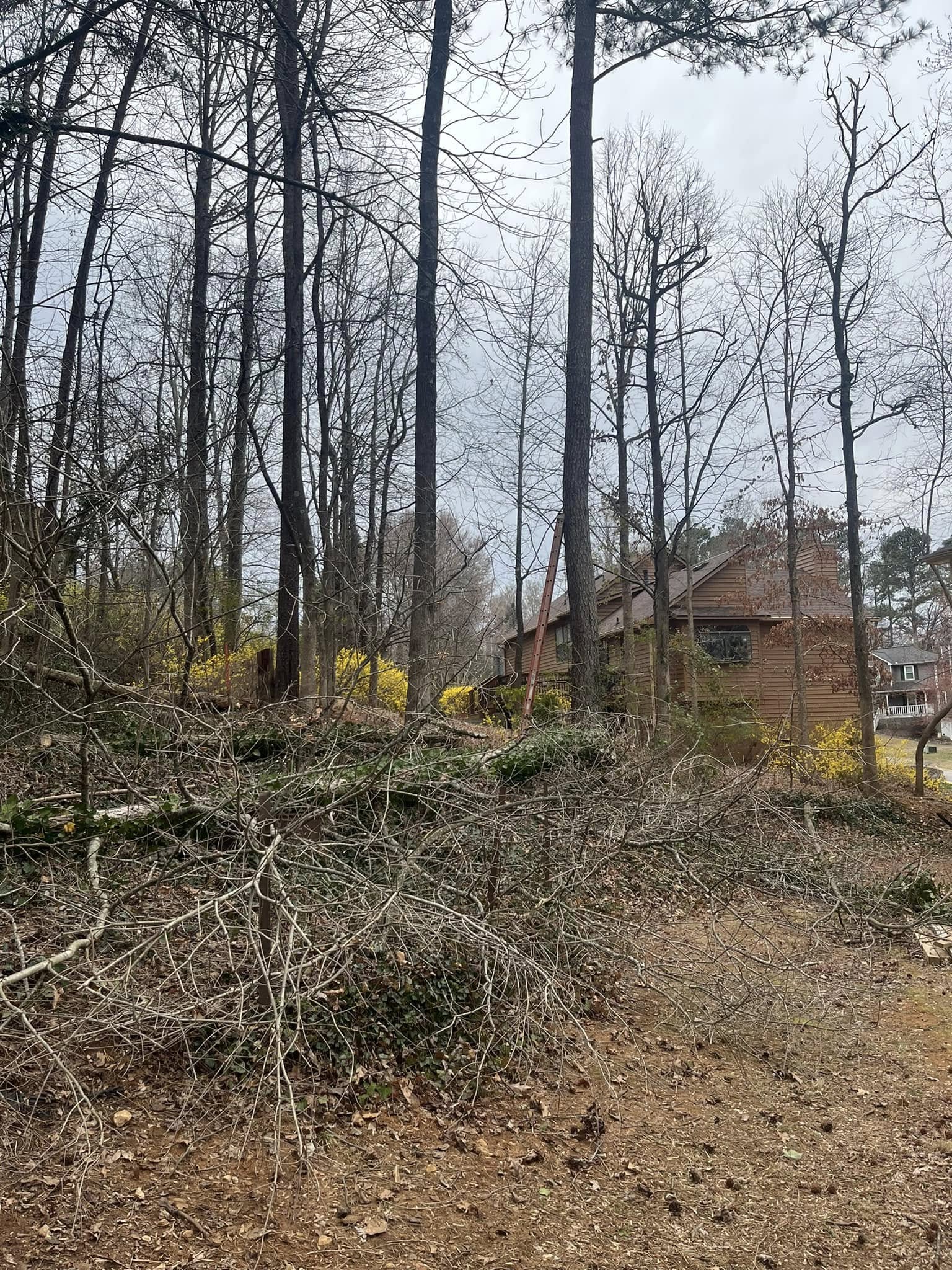 Jeremy's Lawn Maintenance LLC