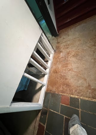 Images Quality Mold Remediation LLC
