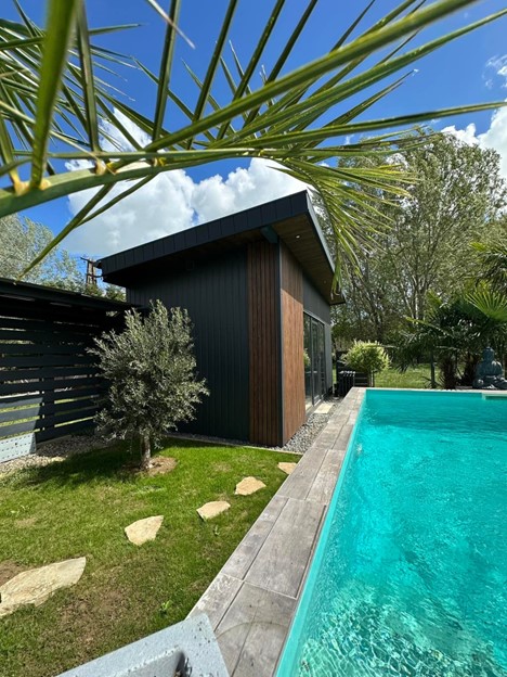 Images Terra Hungary - Olive trees and more