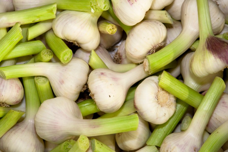 A. Schwab-Krummen AG, Chemin du Gor 8 in Sugiez