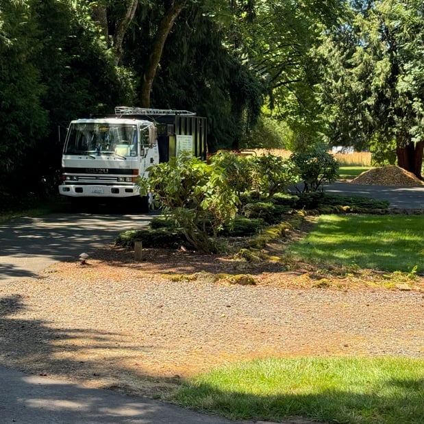 Images Alexa's Tree Service