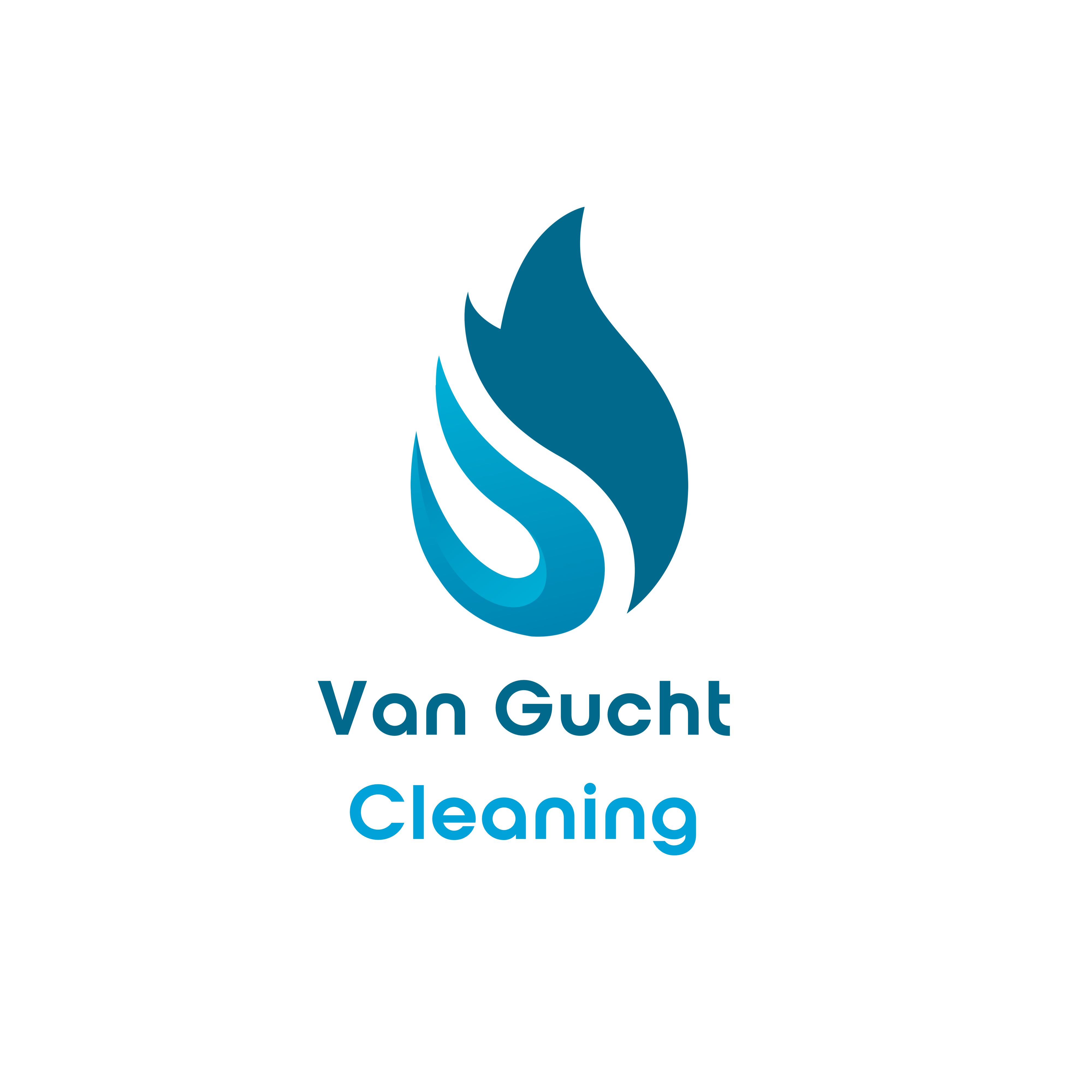 Van Gucht Cleaning