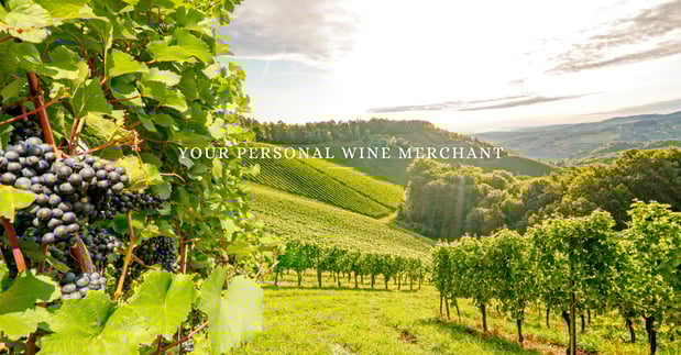 Images Westgarth Wines