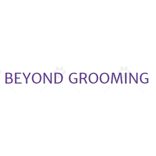 Beyond Grooming LLC