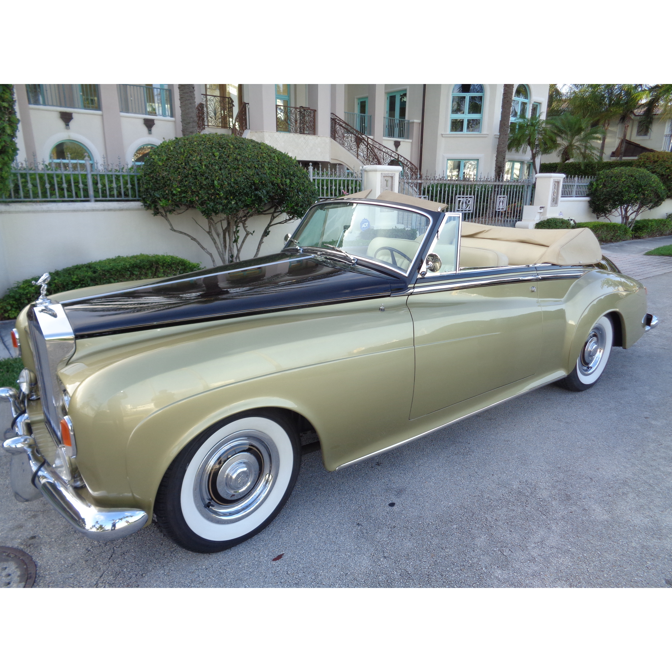 Prestigious Euro Cars