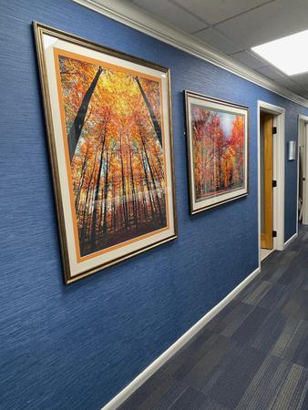 Images Medford Periodontics: Dr. Ben Calem