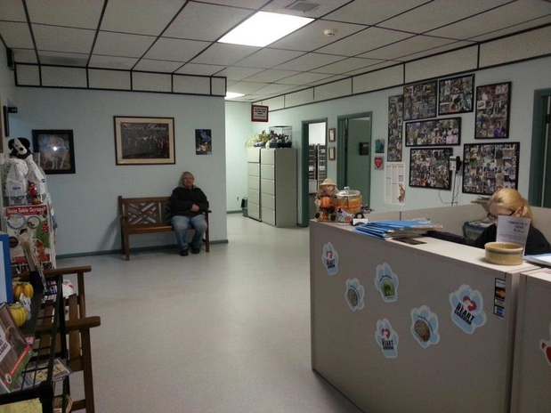 Images Atlantic Highlands Animal Hospital