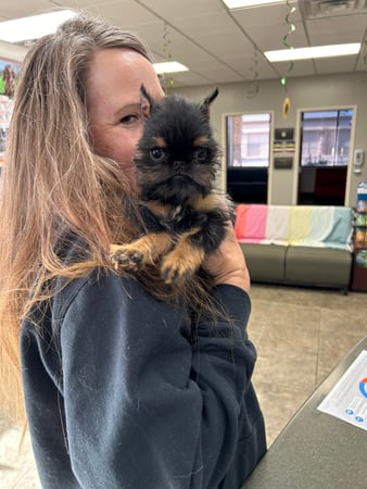 Images VCA All Pet Animal Hospital/Taylorsville