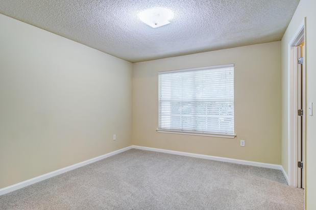 Images Beechwood Pines