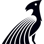 TranscenDental CFO Logo