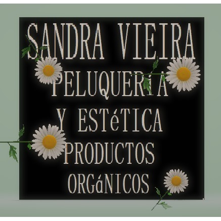 Sandra Vieira Peluquería y Estética Logo