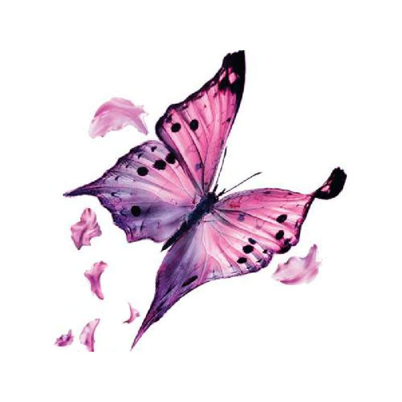 Butterfly Beauty Logo