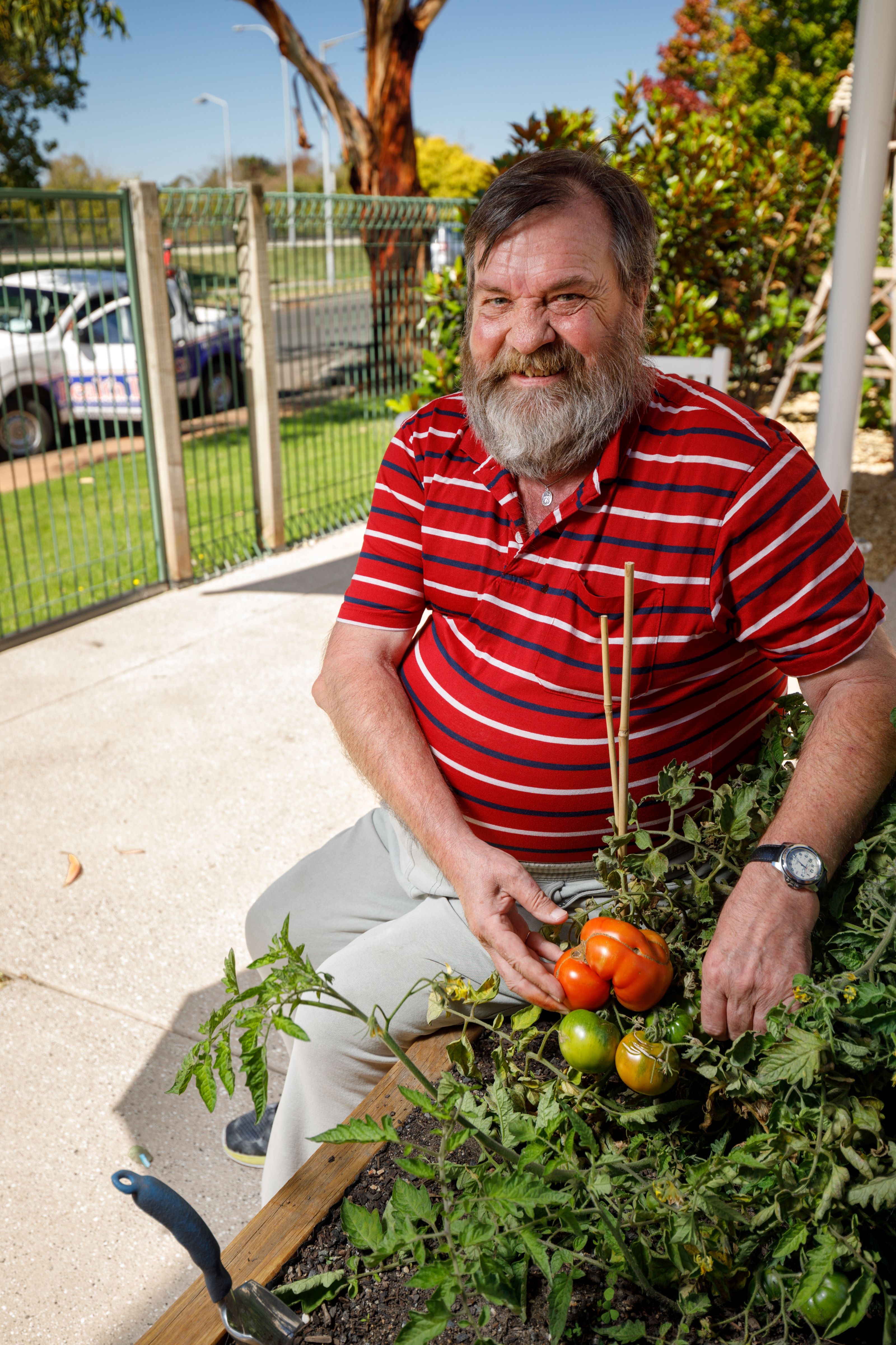 Images Uniting AgeWell Rosetta Community, Strathglen