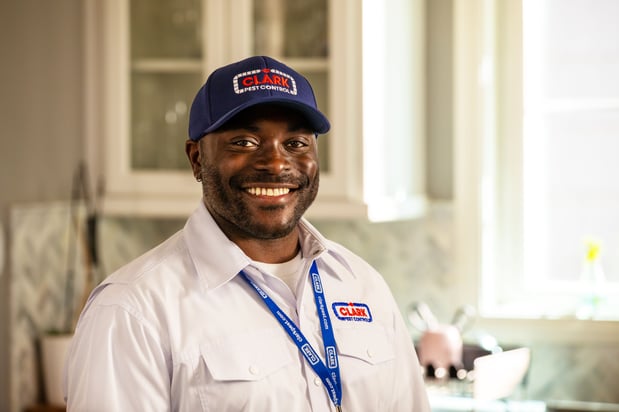 Images Clark Pest Control