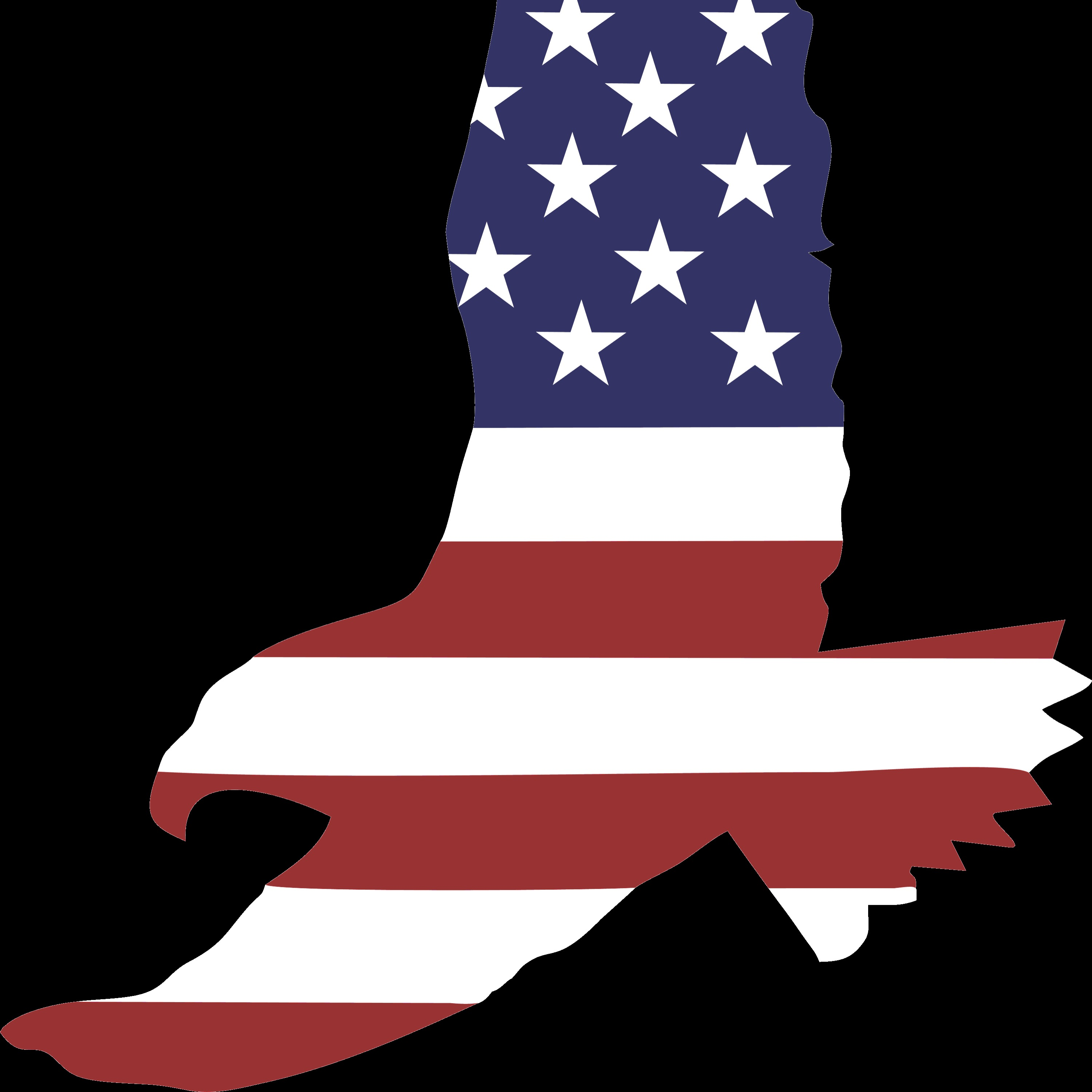 American Eagle Fence & Deck of Auburn