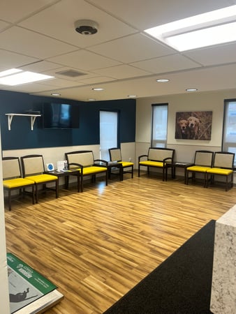 Images VCA Castle Shannon Animal Hospital