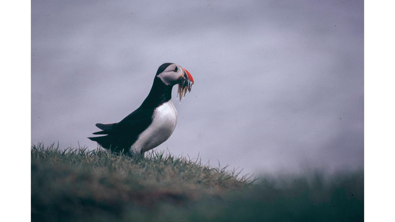 Images Dj Foto och Video - Fotograf Umeå