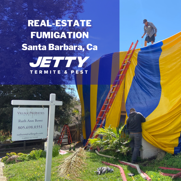 Images Jetty Termite & Pest Control