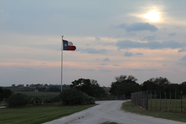 Images Brazos Equine Services