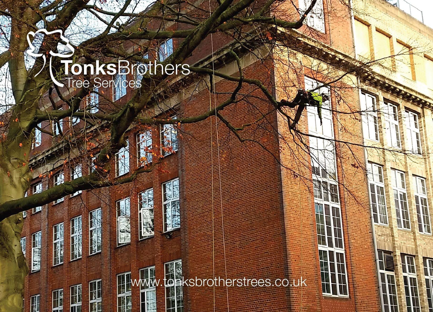 Tonks Brothers Tree Services Burntwood 01543 675912