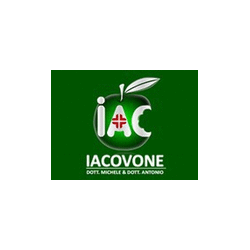 Centro Odontoiatrico Iacovone Logo
