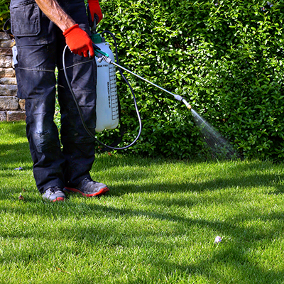Prevent flea and tick infestations in Commerce, Michigan with Top Lawn’s superior lawn care and pest control services.