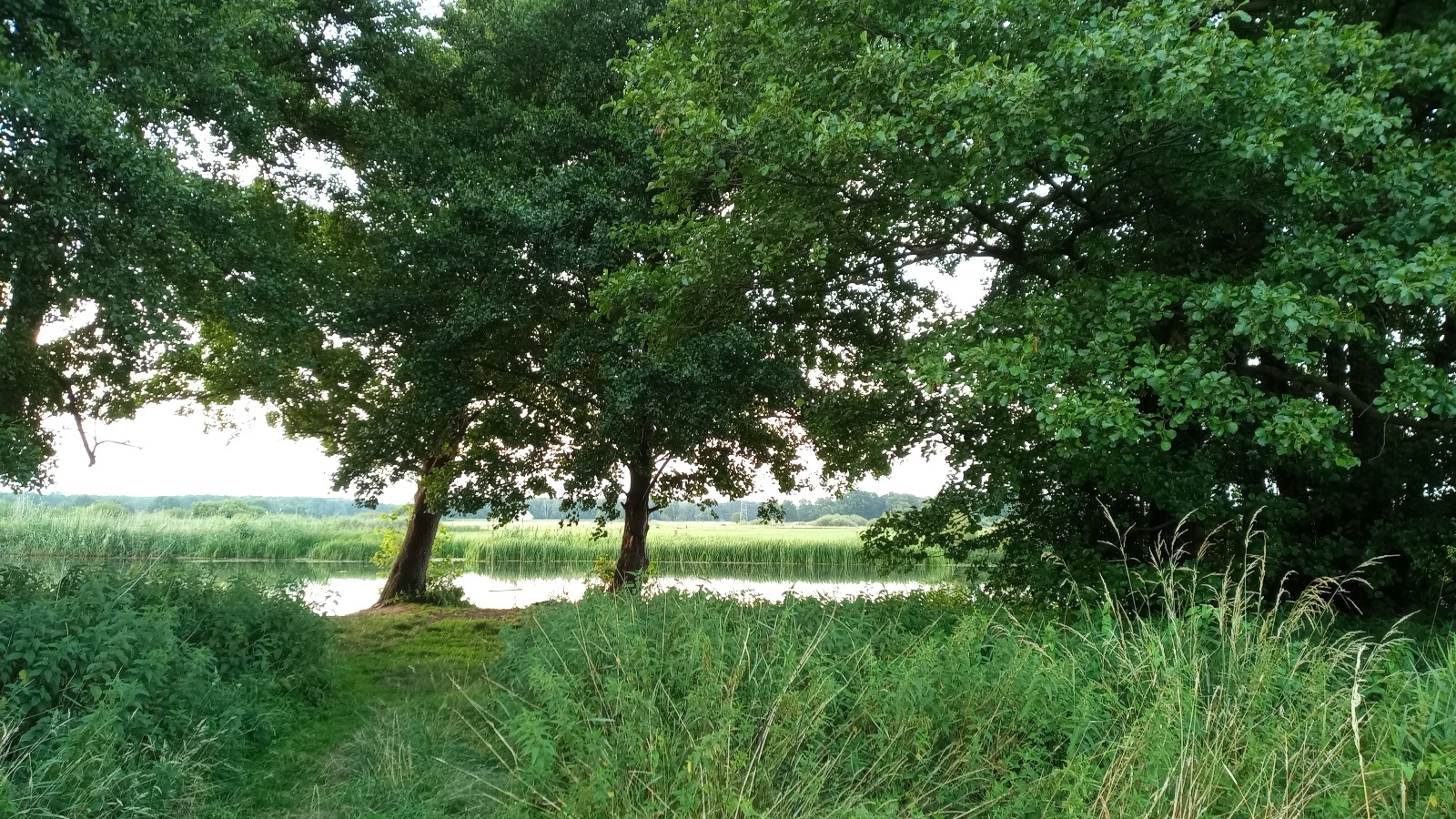 Bilder AUSZEIT An der Aller