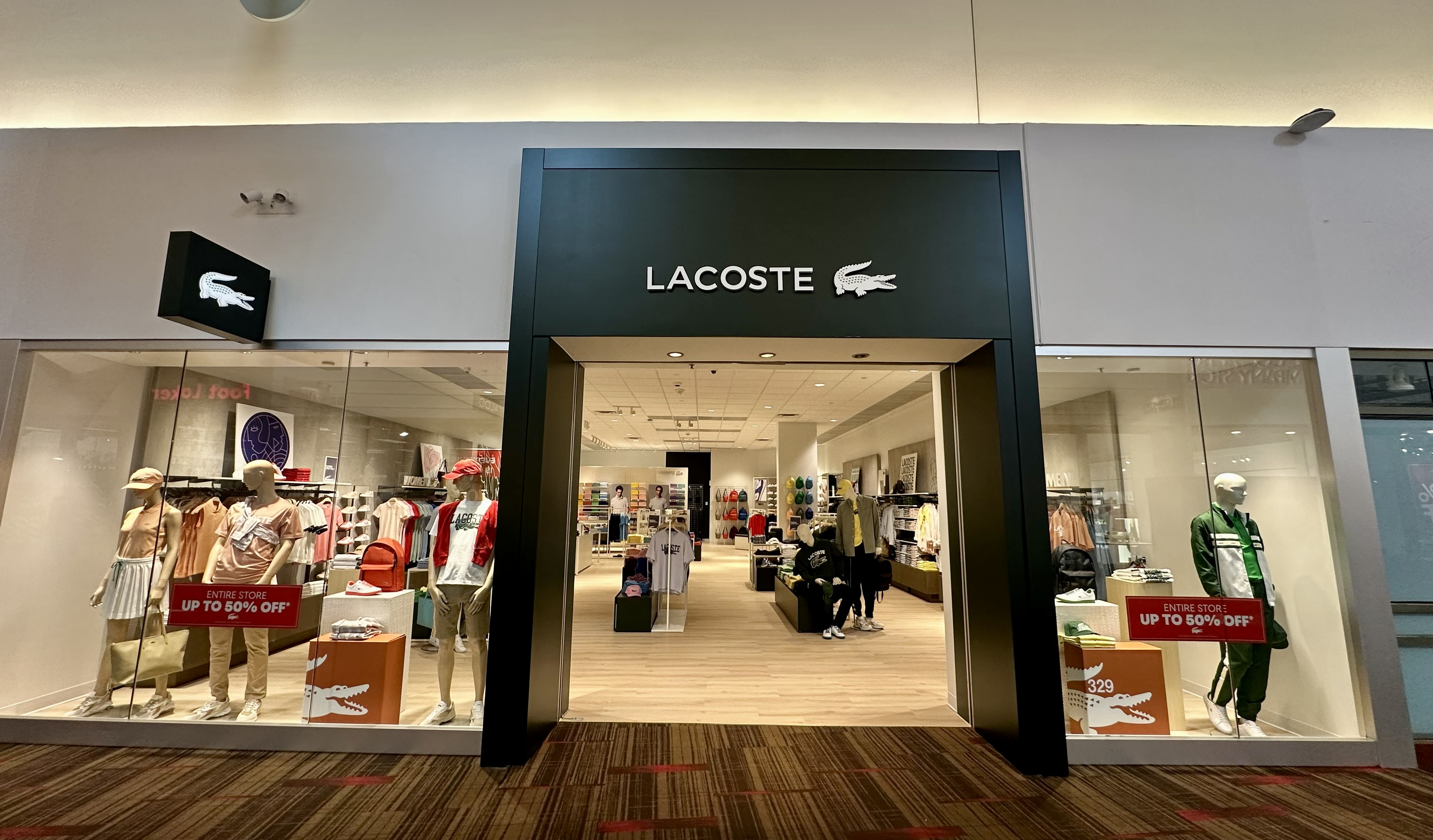 Overall View - Windows (Hero Image)