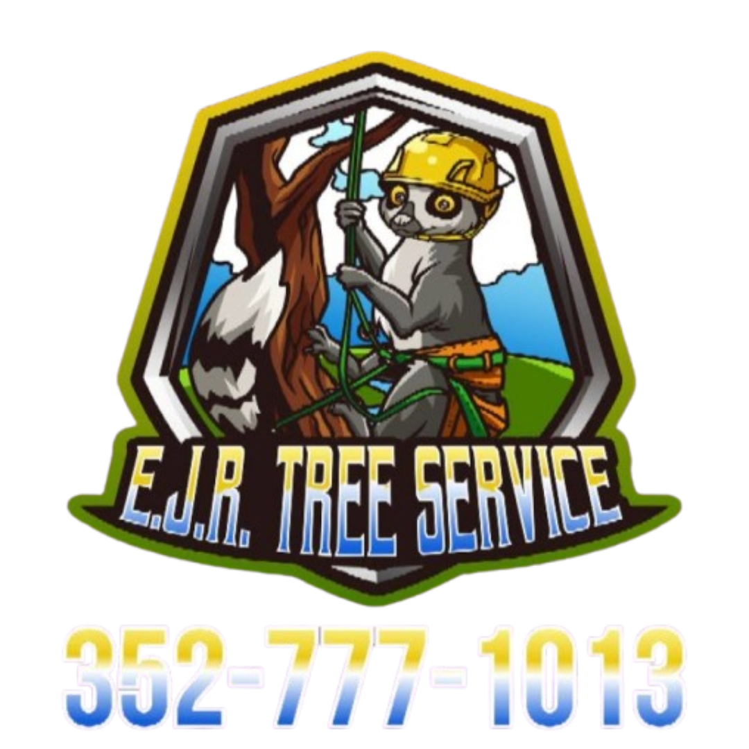 E.J.R Tree services