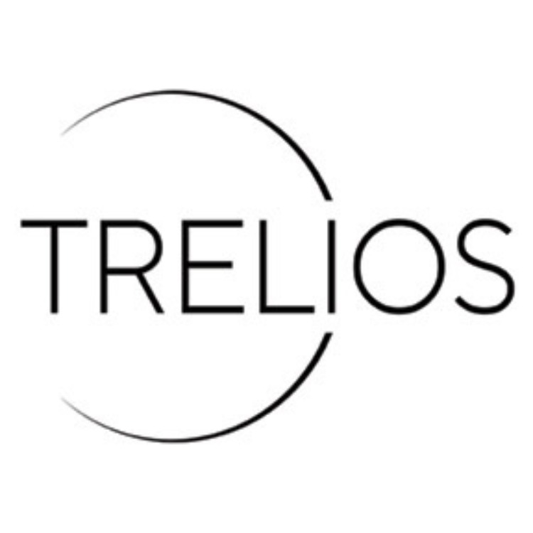 Kundenlogo Trelios SEO, Webdesign & Werbeagentur Hannover