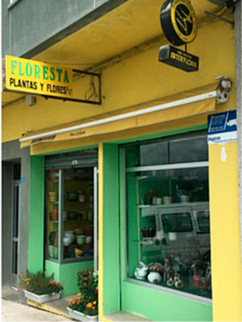 Images Floristería Floresta