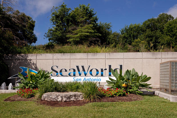 Images Staybridge Suites San Antonio Sea World by IHG