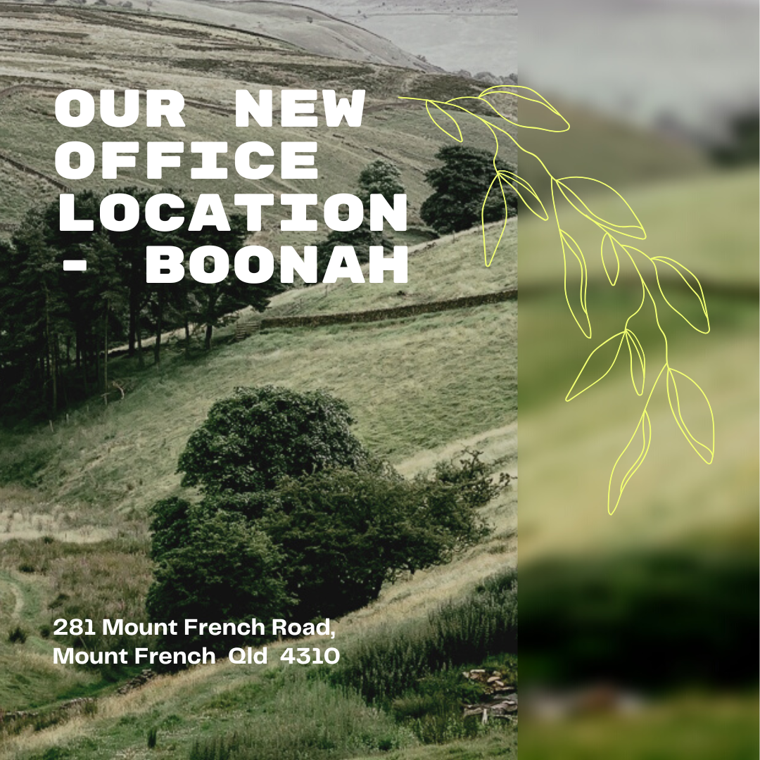 Images Hollmac Accounting