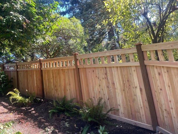 Images Tidy Beaver Fencing - Fence and Gate Contractor