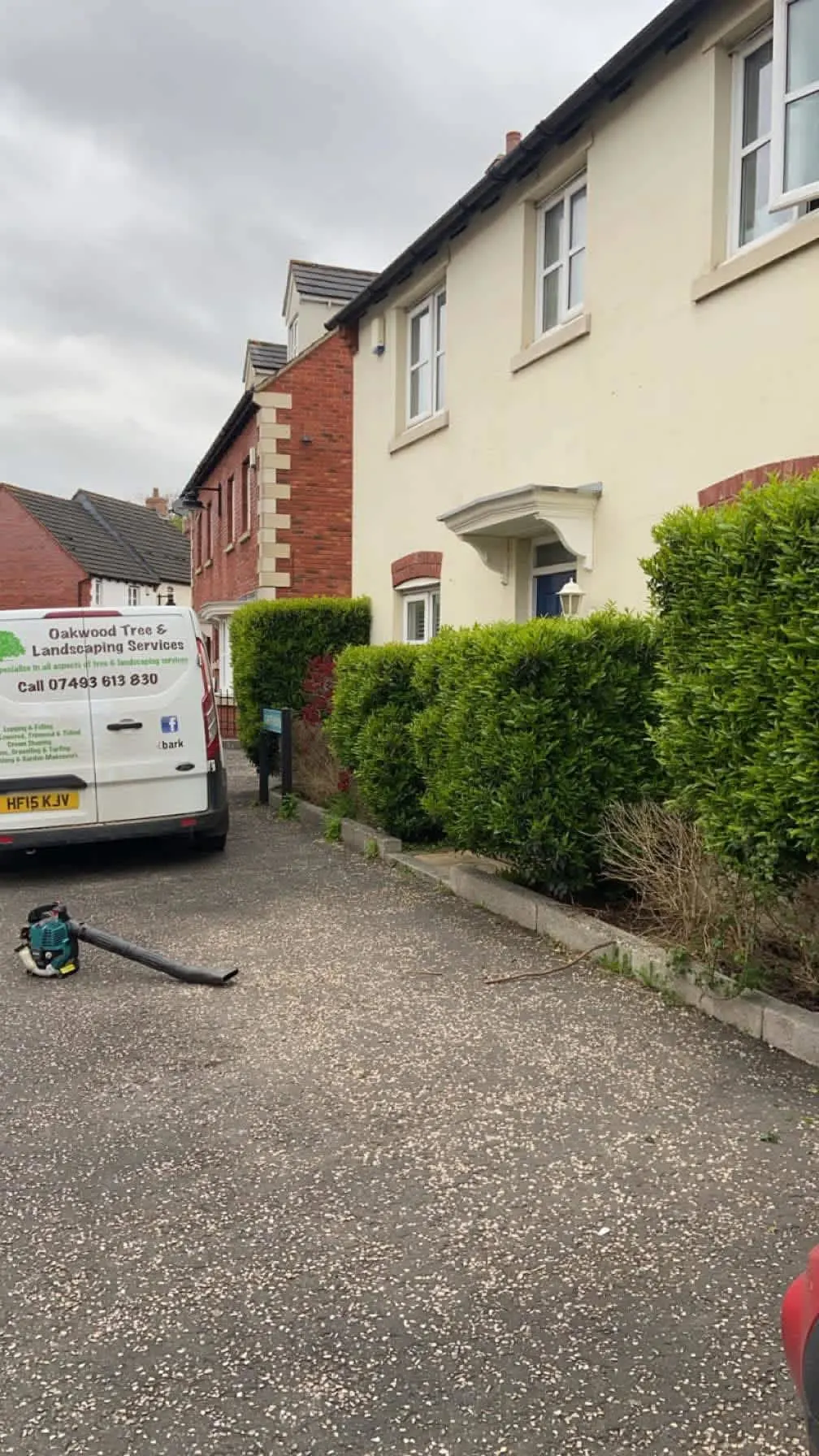 Images Oakwood Tree & Landscaping Services