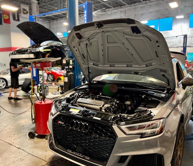 Images Loudoun County Exotics