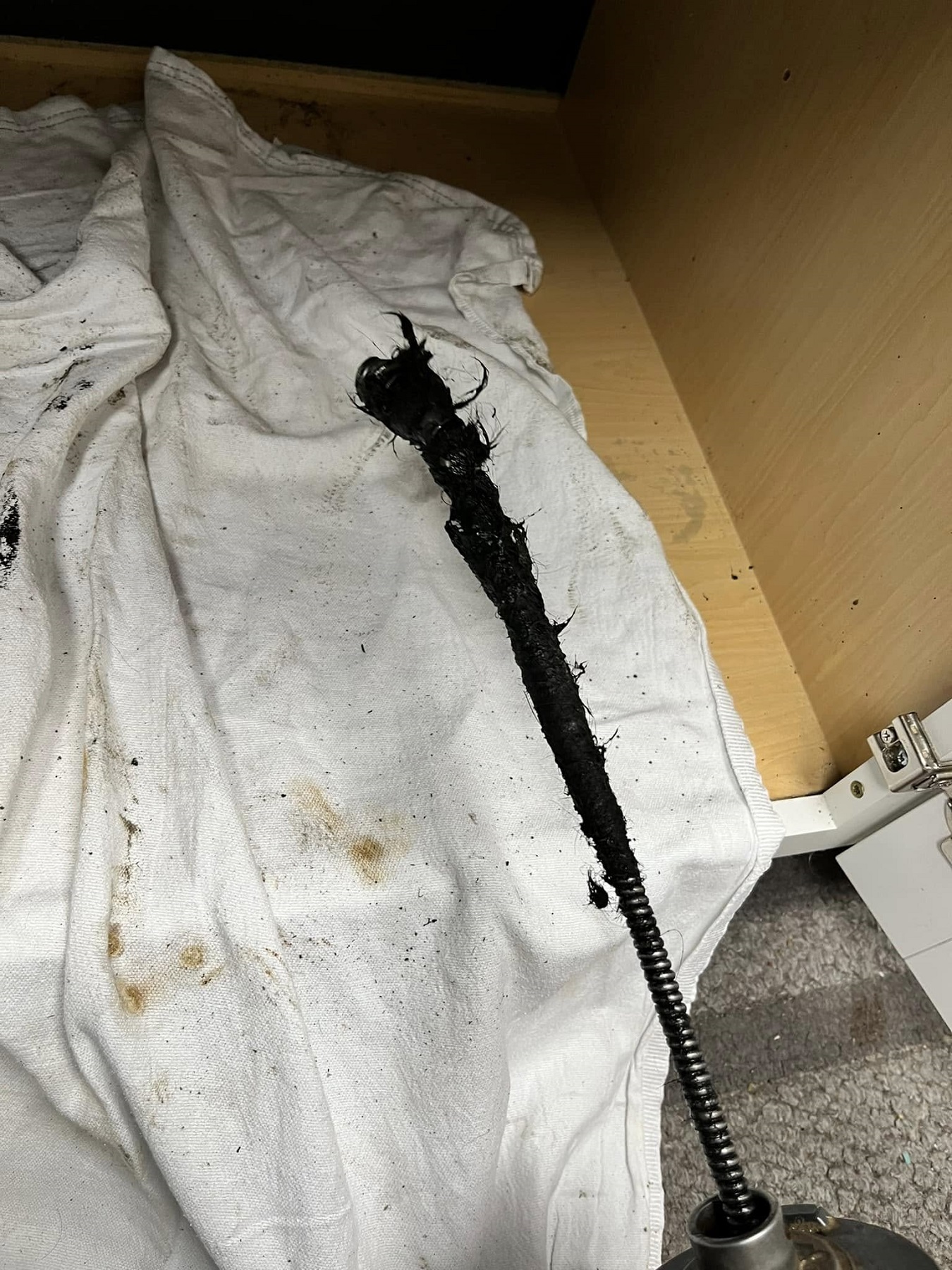 Seacoast Sewer & Drain, Inc. Image