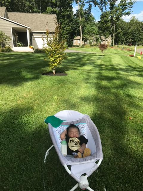 Jackie Alvarez came by while Hector was on a job, and brought the baby (who appreciates a nicely cut lawn!)
