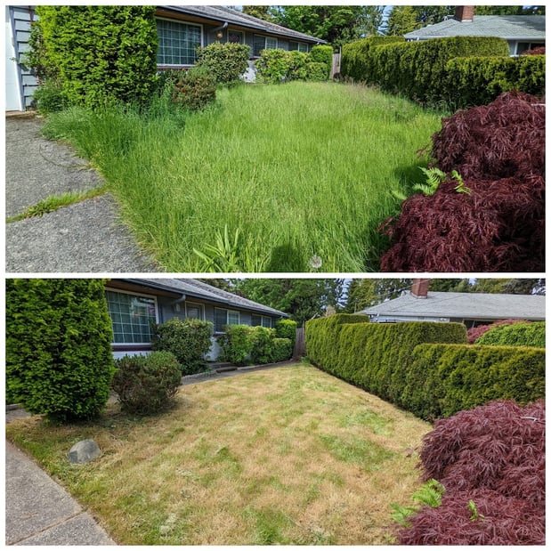 Images Ballinger Landscaping, LLC