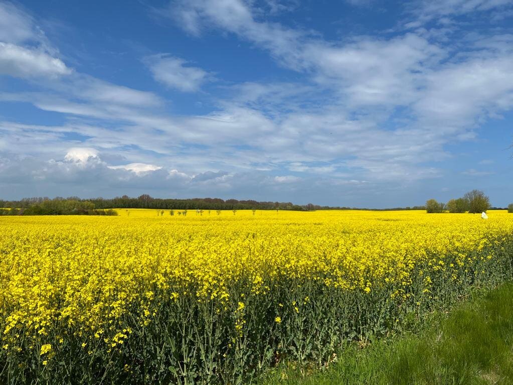 Ferienhäuser Barendorf, Dorfstraße 19 in Hagen