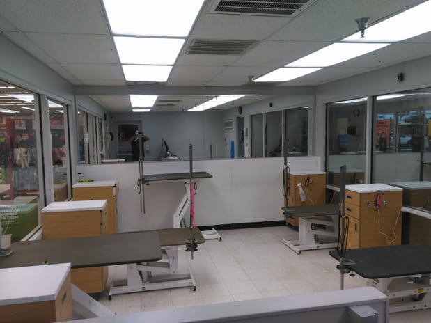 Images Petco Grooming