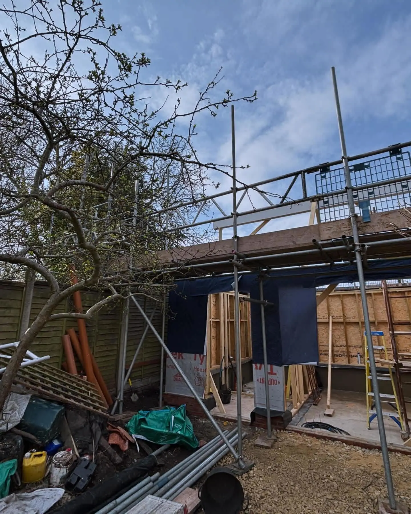 Images DGB Scaffolding
