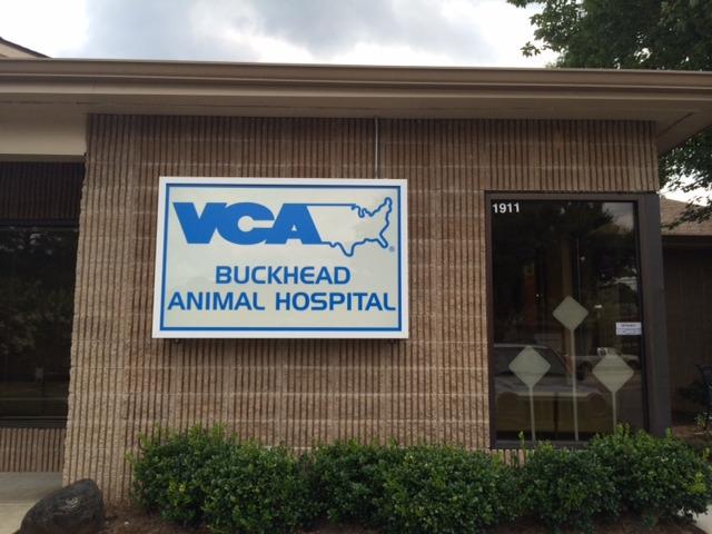 Images VCA Buckhead Animal Hospital